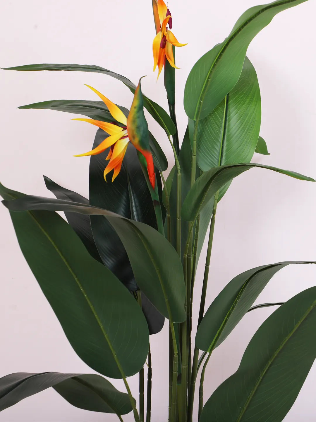 Artificial Birds of Paradise Plant with Basic Black Pot - 140 cm Tall