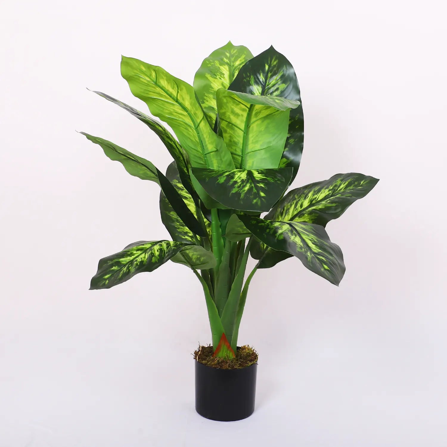 Artificial Dieffenbachia Plant with Basic Black Pot – 95 cm Tall, Green