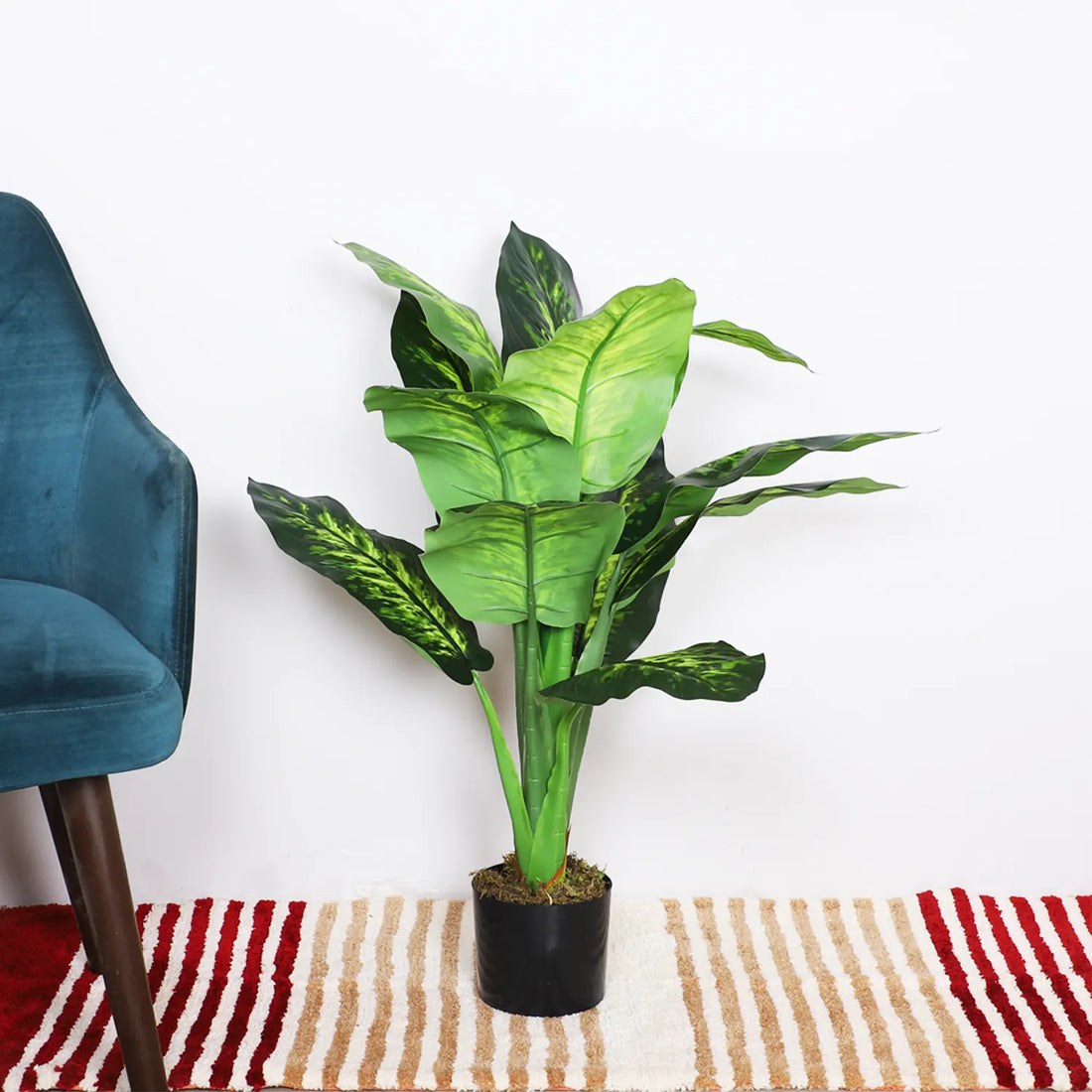 Artificial Dieffenbachia Plant with Basic Black Pot – 95 cm Tall, Green