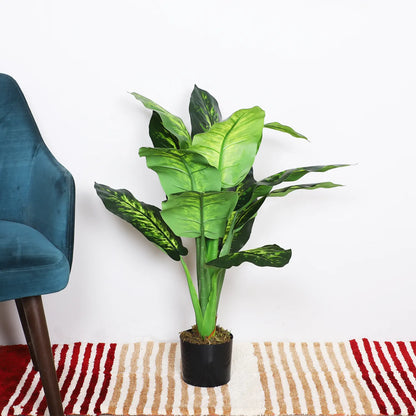 Artificial Dieffenbachia Plant with Basic Black Pot – 95 cm Tall, Green