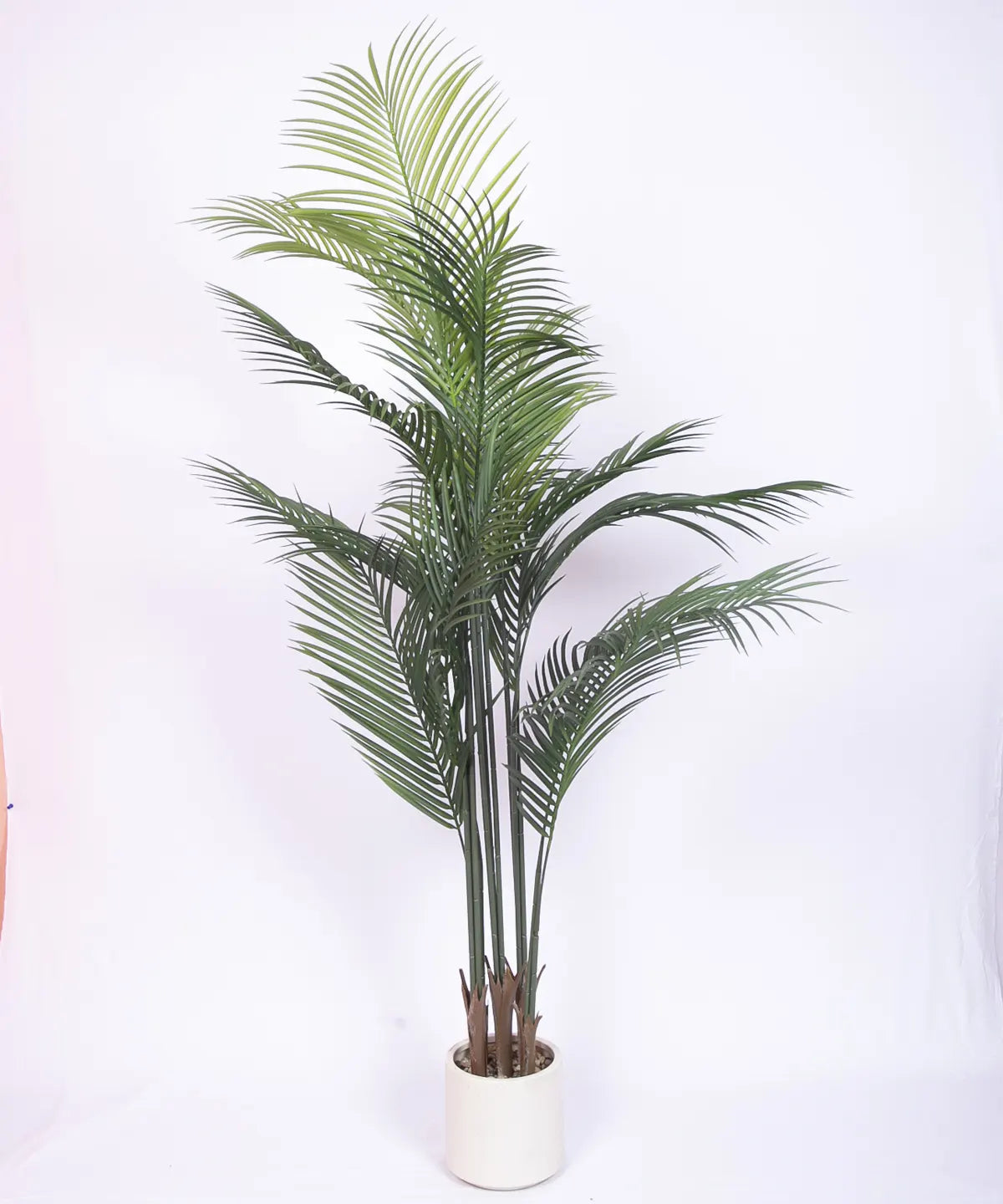 Artificial Lush Green Areca Palm Plants with Basic Black Pot - 150 cm Tall
