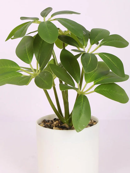 Artificial Schefflera Plants With Pot (22 cm Tall, Green)