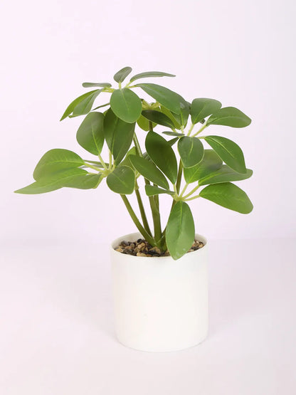 Artificial Schefflera Plants With Pot (22 cm Tall, Green)