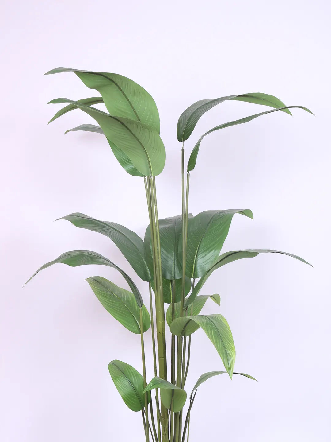 Artificial Birds of Paradise &amp; Banana Plant with Basic Black Pot - 150 cm Tall