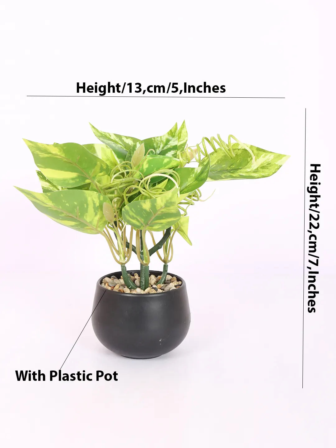 Artificial Beautiful Money Plants With Pot for (22 cm Tall, Green/Yellow)