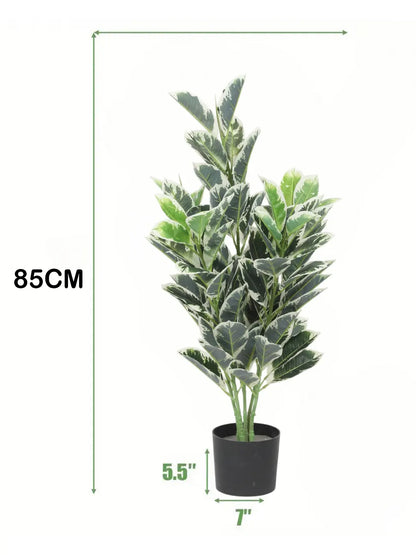 Artificial Andrew Croton Plant with Basic Black Pot (85 cm Tall, 104 Light Green Leaves)