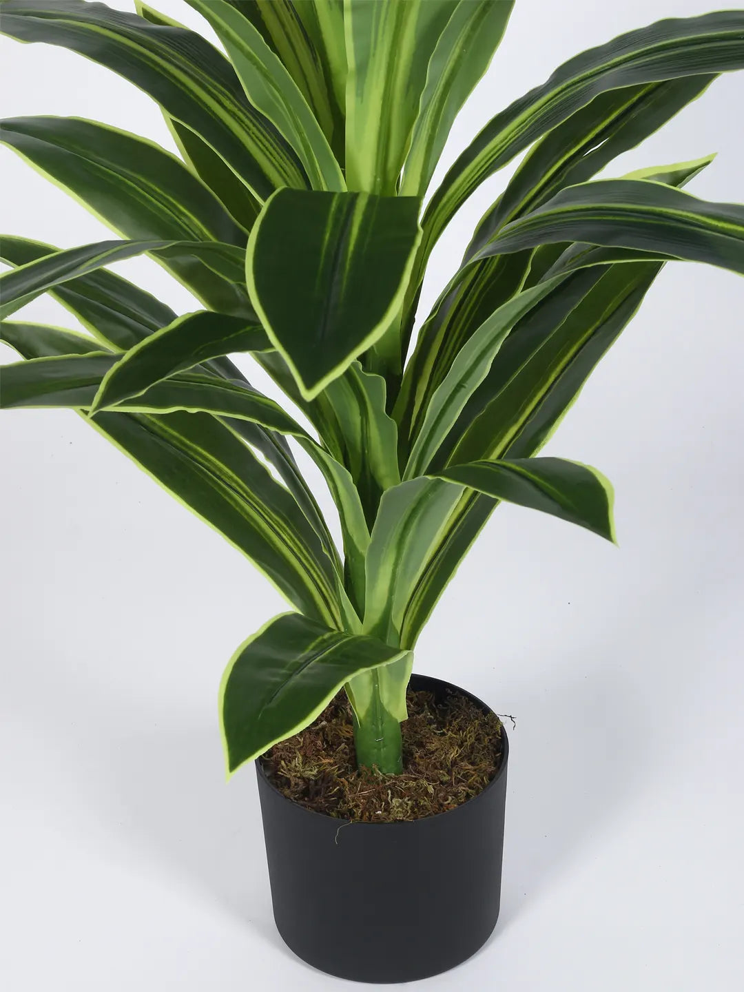 Artificial Botanic Dracaena Plant with Basic Black Pot - 4 Feet Green