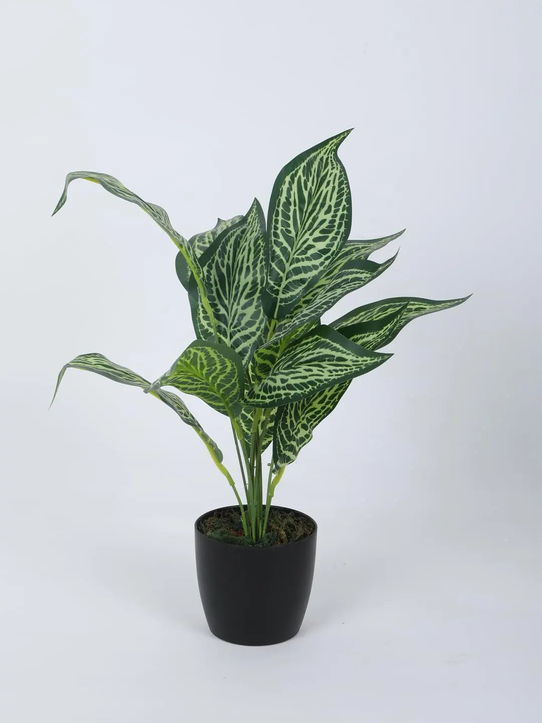 Artificial New Green Croton Plant (12 Leaves with Basic Black Pot 45 Cm Tall)