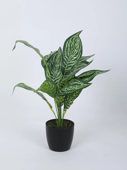 Artificial New Green Croton Plant (12 Leaves with Basic Black Pot 45 Cm Tall)