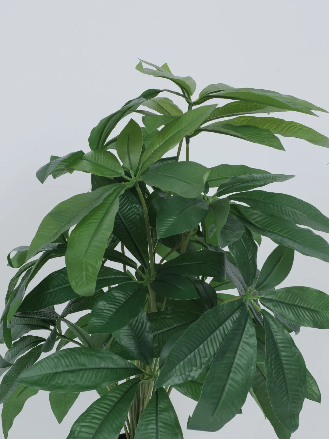 Artificial Pachira Leaf Plants for with Pot (18 Leaves, 65 cm Tall, Green)