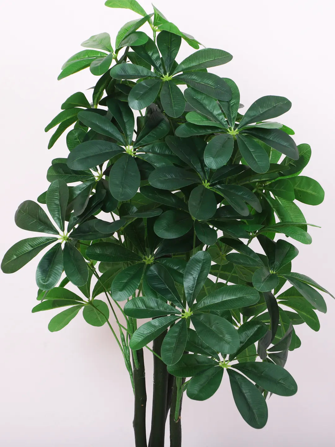Artificial Schefflera Plant with Basic Black Pot - 100 cm Tall, Green