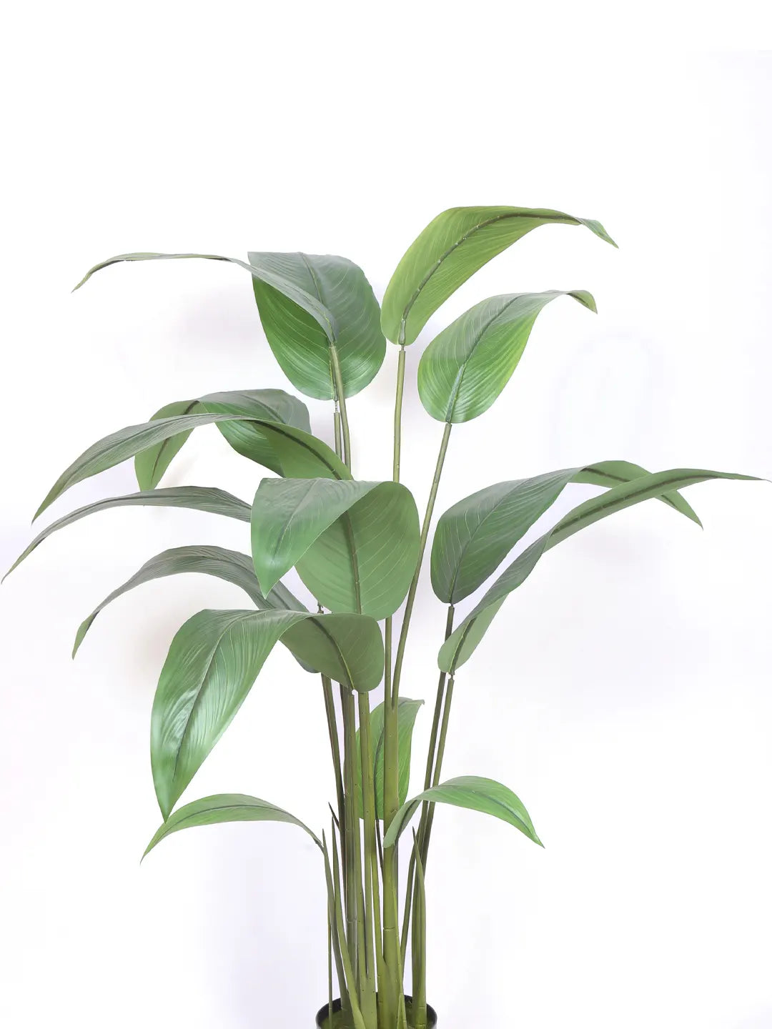 Artificial Birds of Paradise &amp; Banana Plant with Basic Black Pot - 150 cm Tall