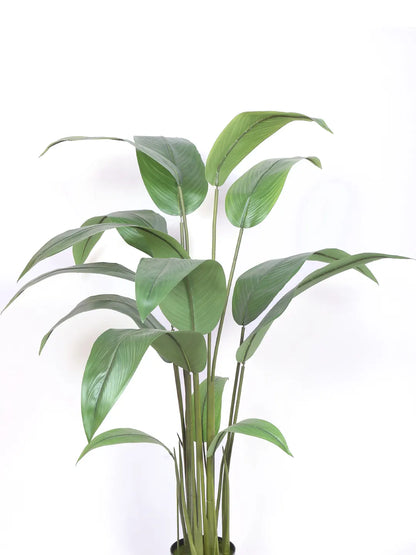 Artificial Birds of Paradise &amp; Banana Plant with Basic Black Pot - 150 cm Tall