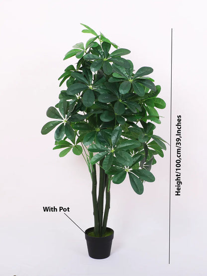Artificial Schefflera Plant with Basic Black Pot - 100 cm Tall, Green