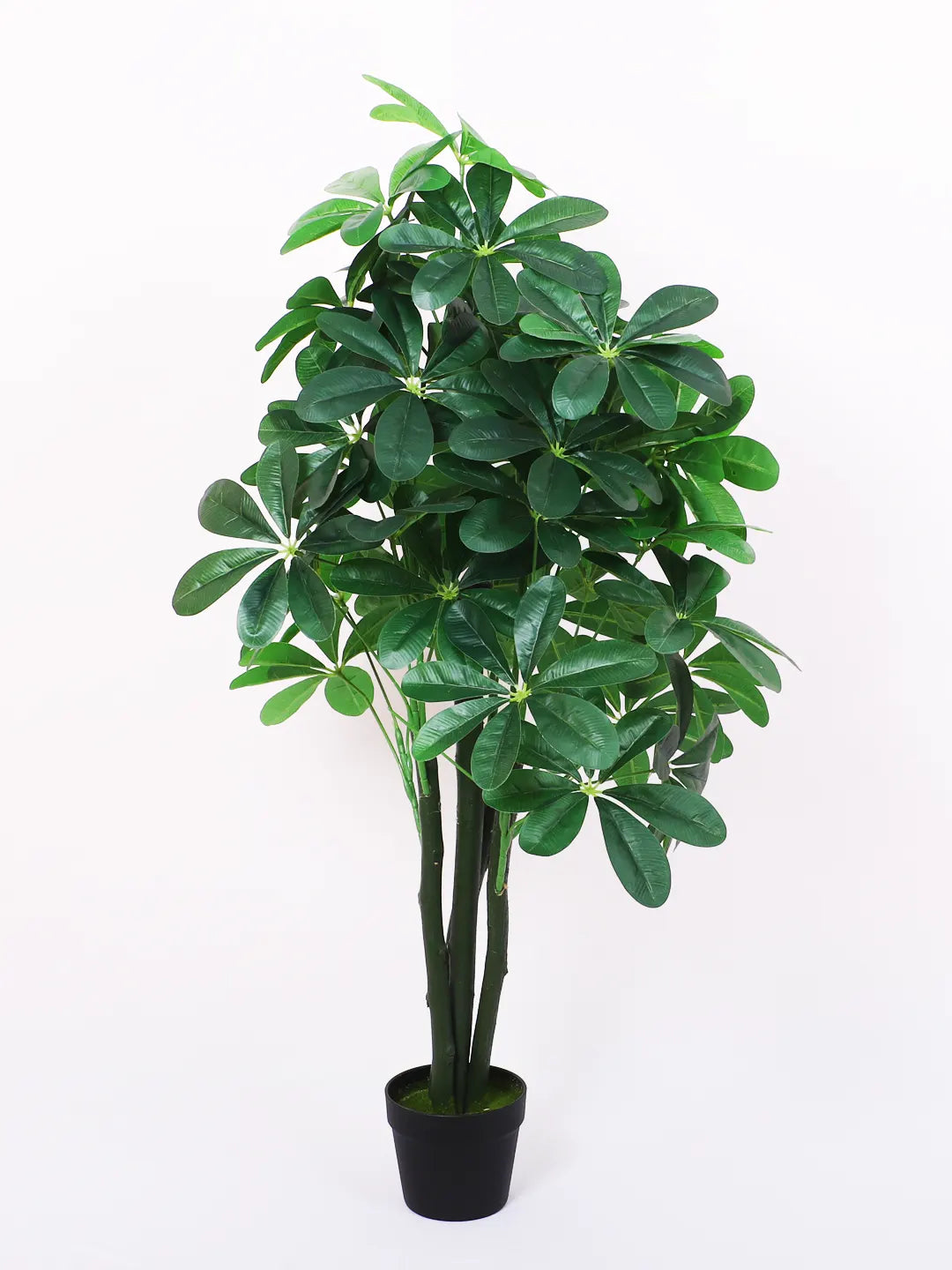 Artificial Schefflera Plant with Basic Black Pot - 100 cm Tall, Green