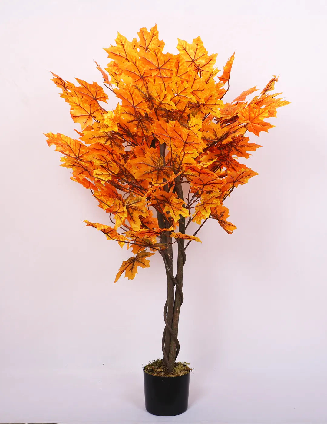 Artificial Maple Plant with Basic Black Pot - 130 cm Tall Orange