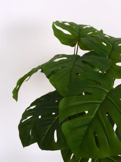 Artificial Midas Monstera Plant with Basic Black Pot - 100 cm Tall, Green