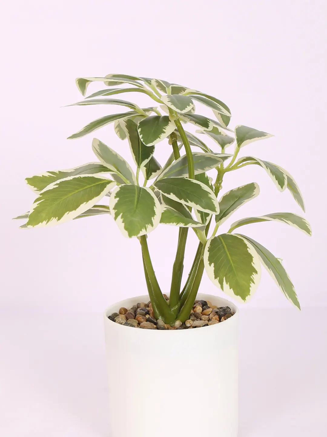 Artificial Schefflera Plants With Pot (22 cm Tall, White)