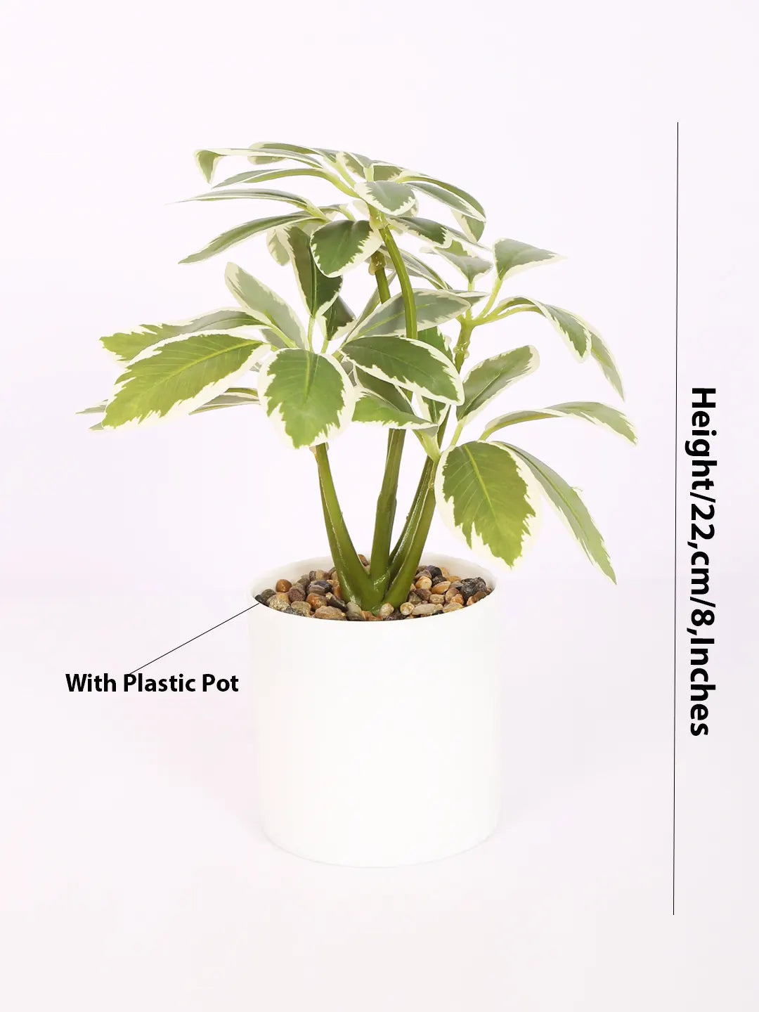 Artificial Schefflera Plants With Pot (22 cm Tall, White)