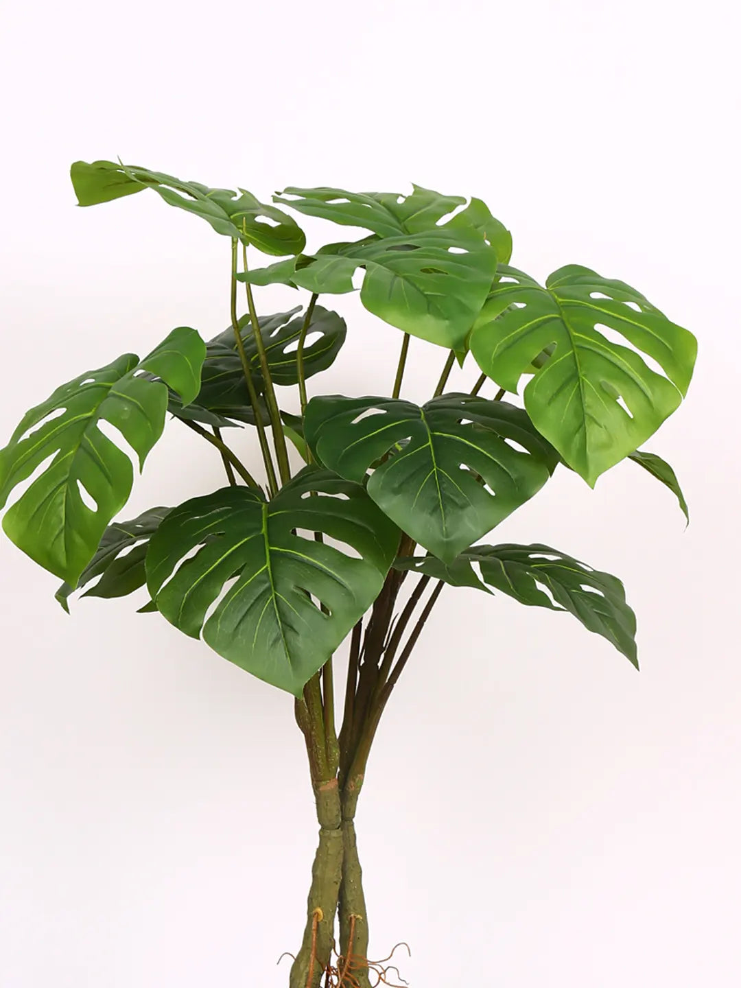 Artificial Midas Monstera Plant with Basic Black Pot - 100 cm Tall, Green