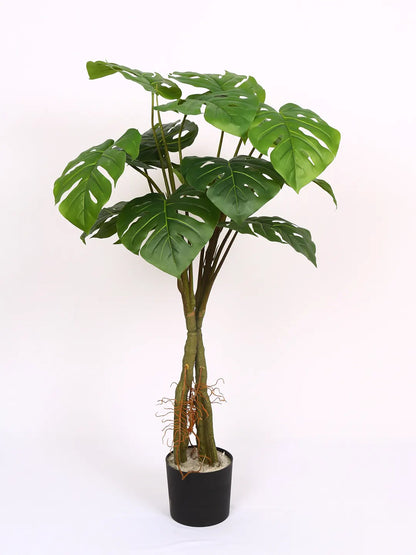 Artificial Midas Monstera Plant with Basic Black Pot - 100 cm Tall, Green