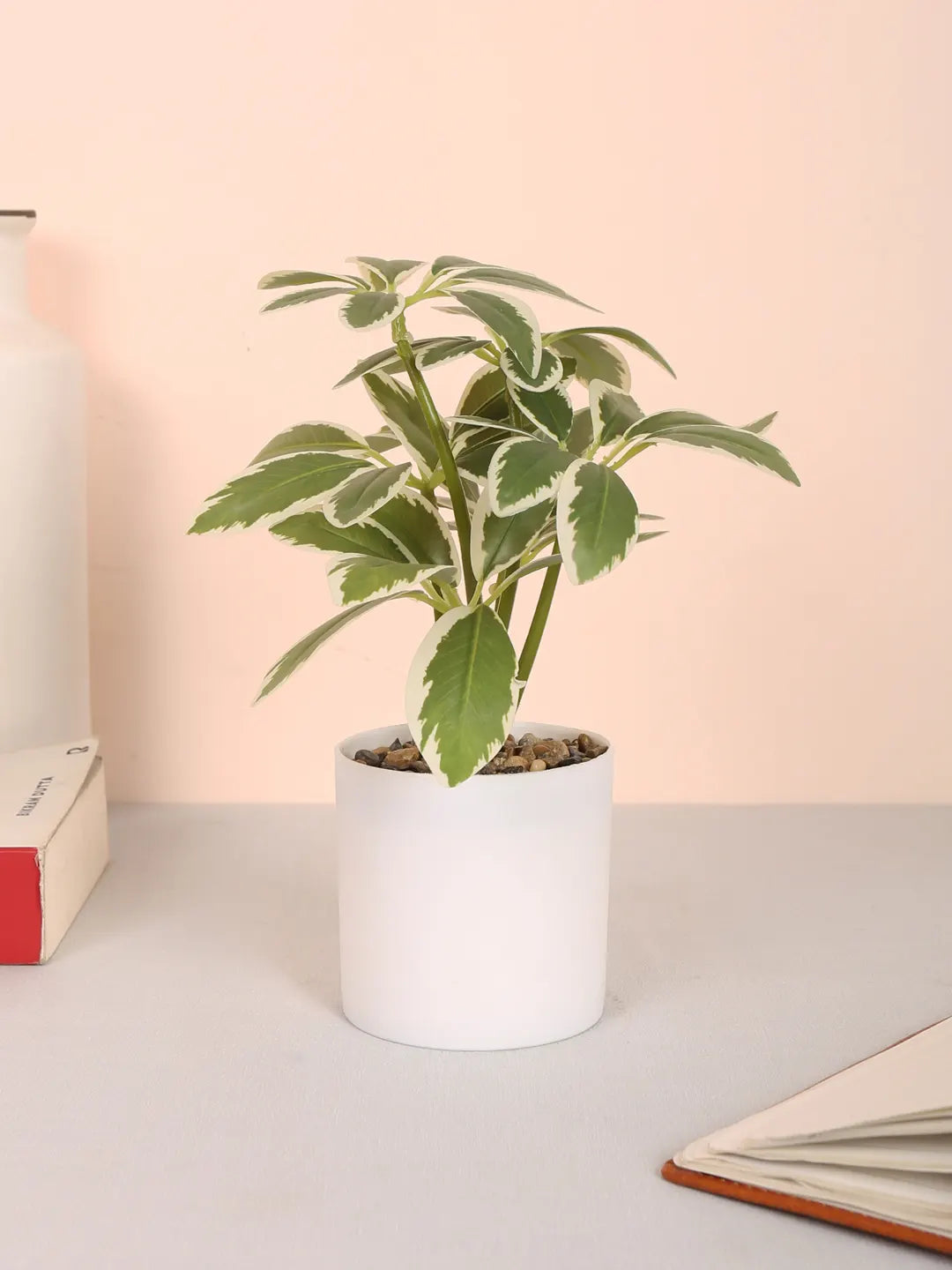 Artificial Schefflera Plants With Pot (22 cm Tall, White)