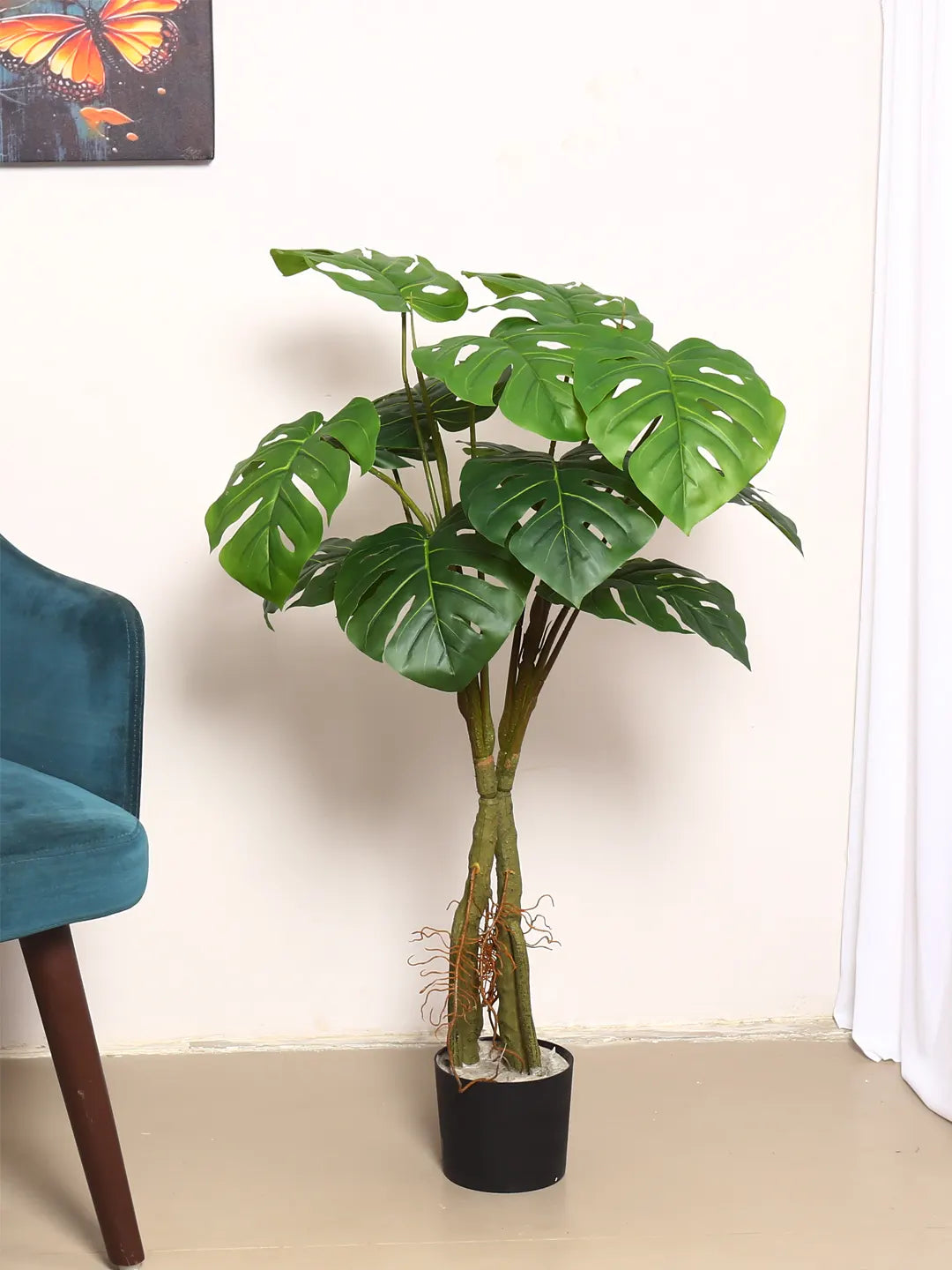 Artificial Midas Monstera Plant with Basic Black Pot - 100 cm Tall, Green