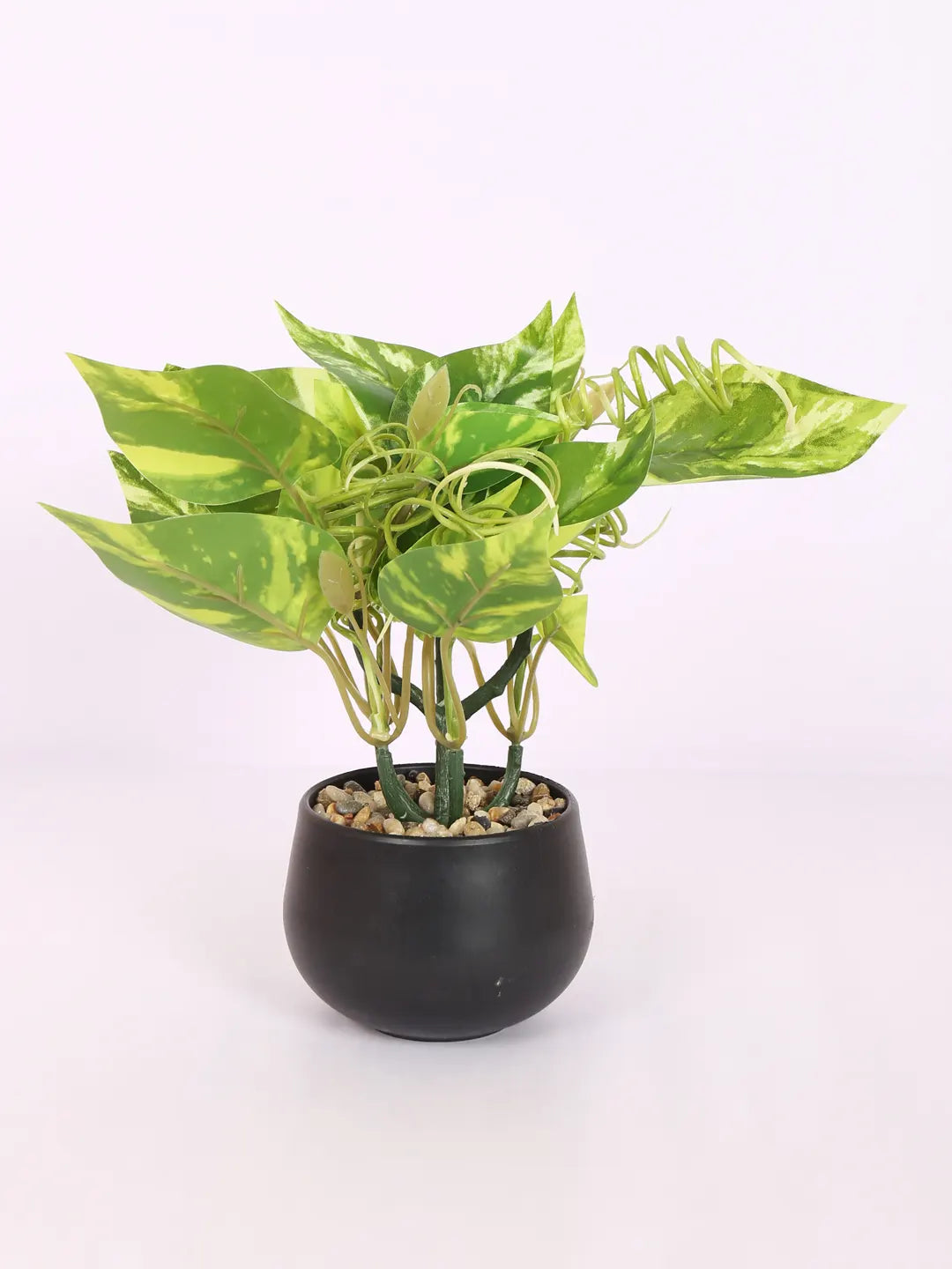 Artificial Beautiful Money Plants With Pot for (22 cm Tall, Green/Yellow)