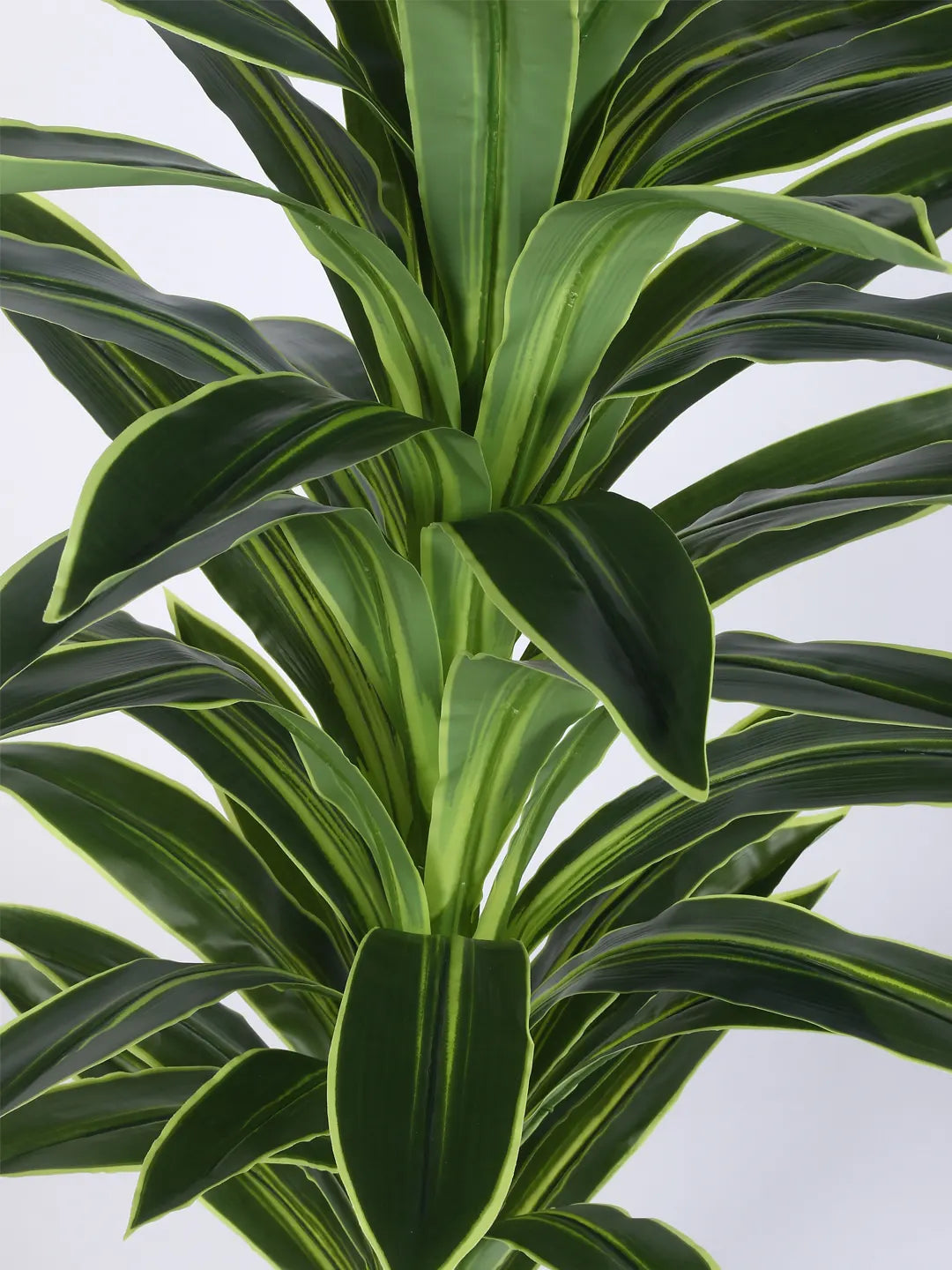 Artificial Botanic Dracaena Plant with Basic Black Pot - 4 Feet Green