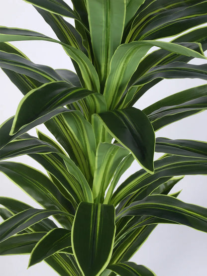 Artificial Botanic Dracaena Plant with Basic Black Pot - 4 Feet Green