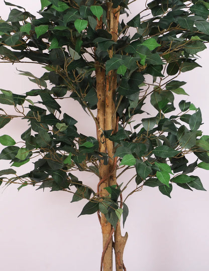 Artificial Green Dried Ficus Plant with Basic Black Pot - 5 Feet Tall Green Leaves