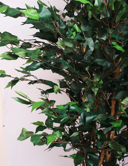 Artificial Green Dried Ficus Plant with Basic Black Pot - 5 Feet Tall Green Leaves