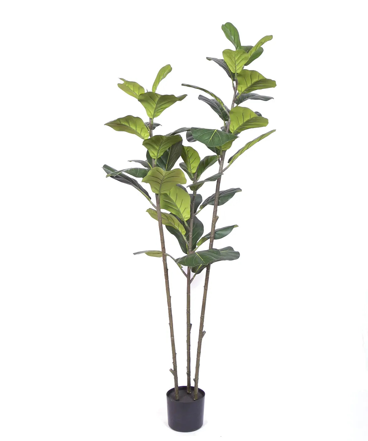 Artificial Evergreen Fiddle Leaf Fig Potted Plants Natural Faux Plants - 150 cm Tall
