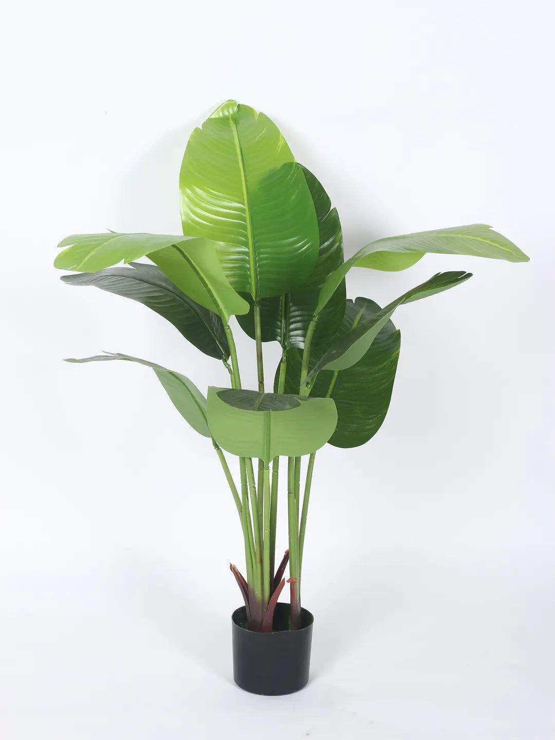 Artificial Banana Palm Plant with Basic Black Pot - 4 feet Green