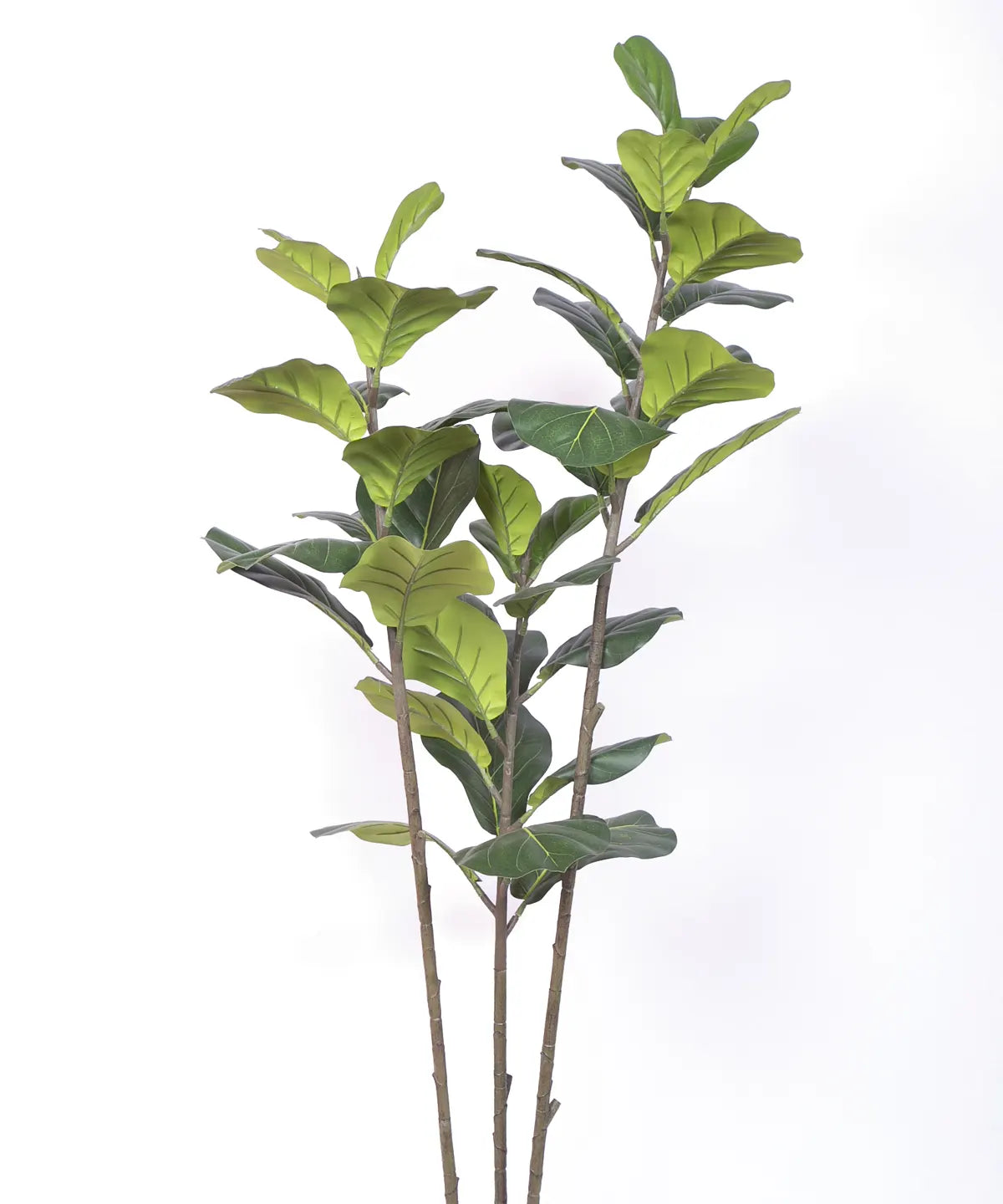 Artificial Evergreen Fiddle Leaf Fig Potted Plants Natural Faux Plants - 150 cm Tall
