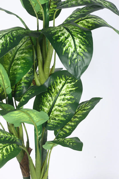 Artificial Evergreen Dieffenbachia Plant with Basic Black Pot - 160 cm Tall, Dark/Green
