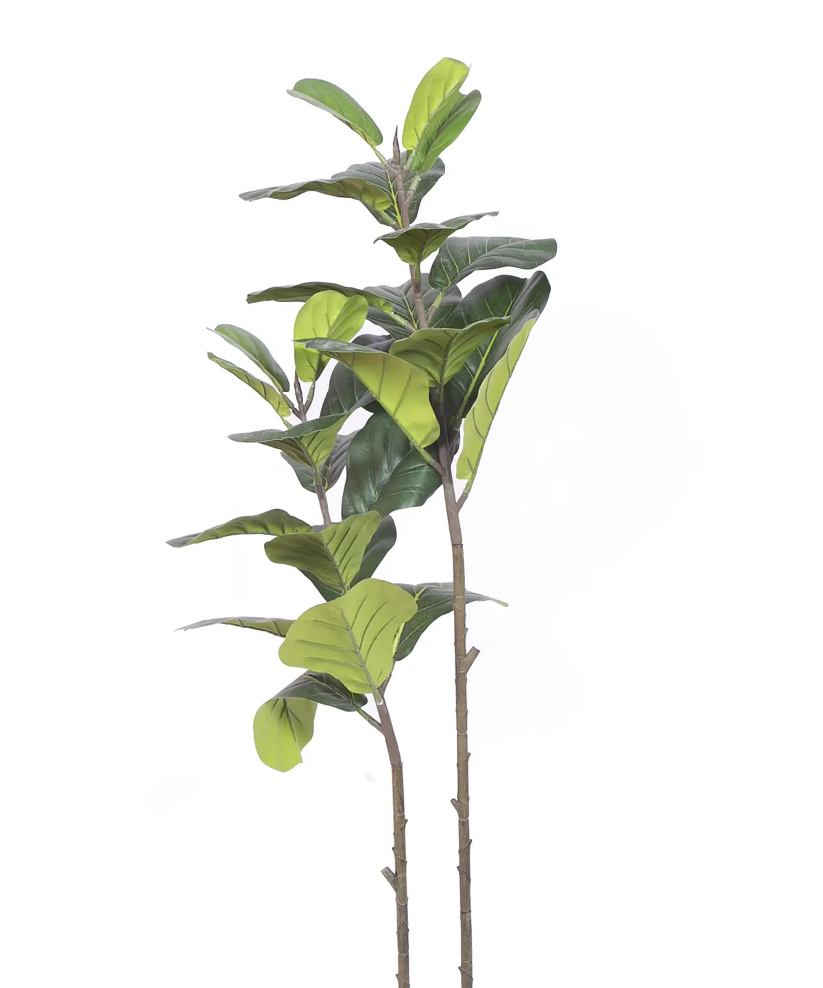 Artificial Evergreen Fiddle Leaf Fig Potted Plants Natural Faux Plants - 120 cm Tall