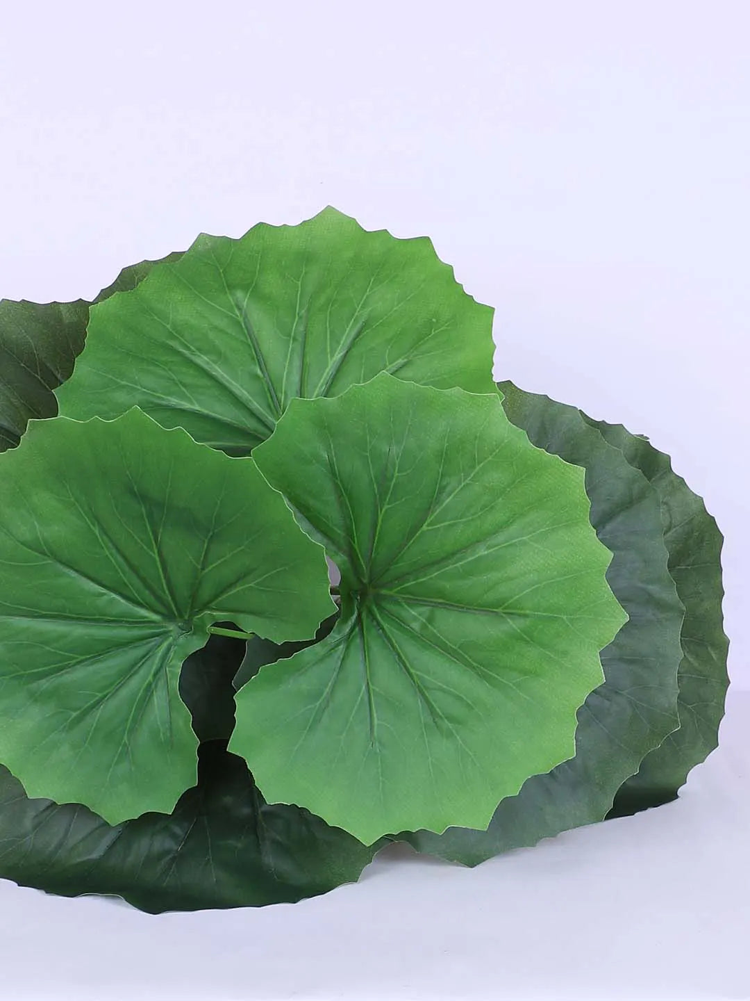 Artificial Miniature PVC Silk Begonia Leaf Green Floor Plant with Pot (12 Leaves, 55 cm Tall, Green)