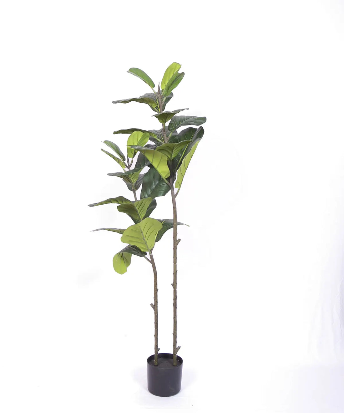 Artificial Evergreen Fiddle Leaf Fig Potted Plants Natural Faux Plants - 120 cm Tall