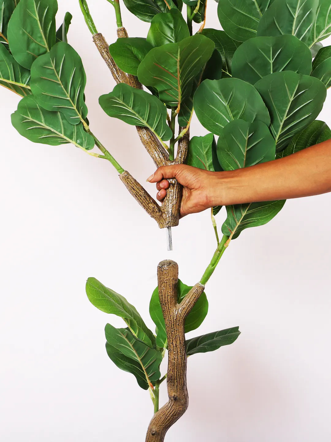 Artificial Fiddle Leaf Fig Plant with Basic Black Pot - 150 cm tall -Green