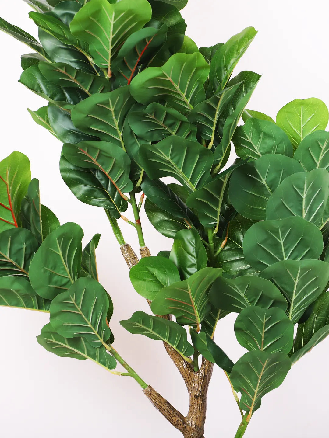 Artificial Fiddle Leaf Fig Plant with Basic Black Pot - 150 cm tall -Green