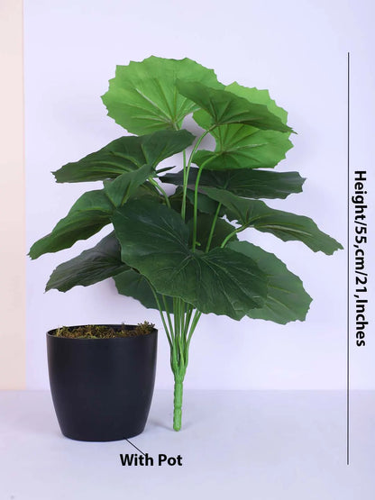 Artificial Miniature PVC Silk Begonia Leaf Green Floor Plant with Pot (12 Leaves, 55 cm Tall, Green)