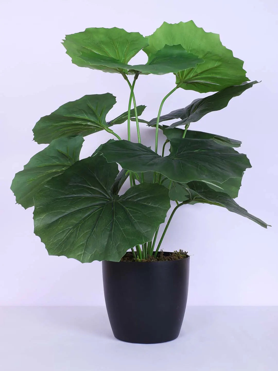 Artificial Miniature PVC Silk Begonia Leaf Green Floor Plant with Pot (12 Leaves, 55 cm Tall, Green)