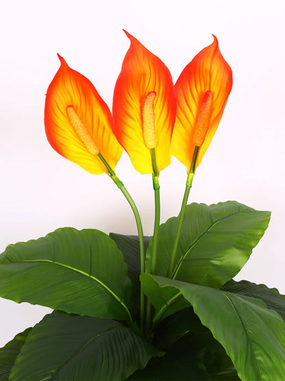Artificial Peace lily Flowers Plant with Basic Black Pot 105 cm Tall, Green