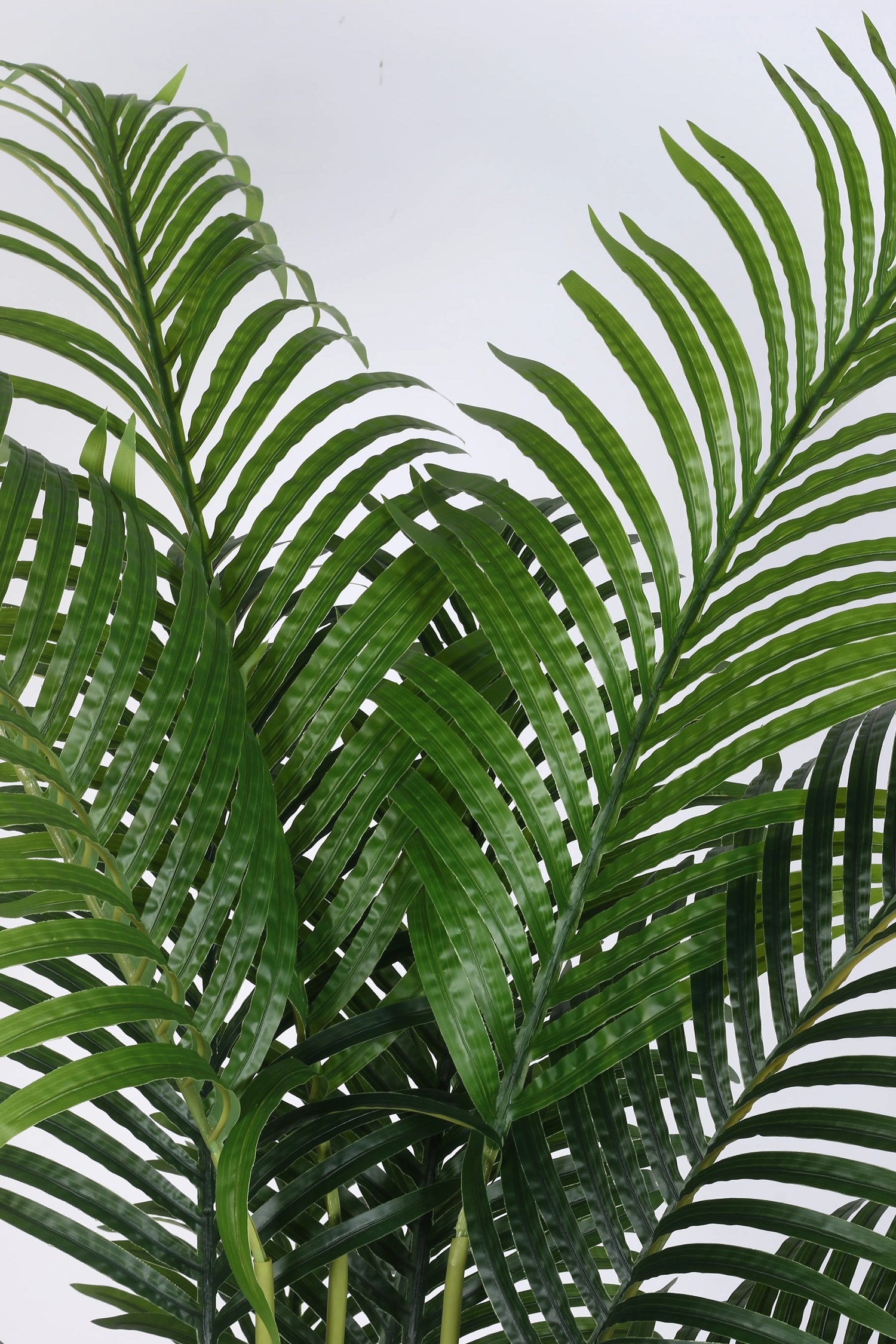 Artificial Lush Green Areca Palm Plants with Basic Black Pot - 160 cm Tall