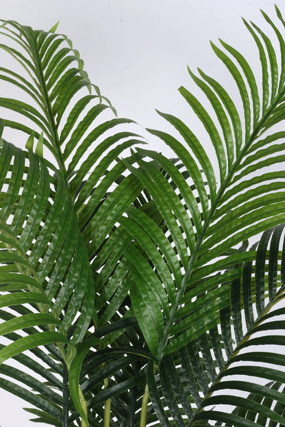 Artificial Lush Green Areca Palm Plants with Basic Black Pot - 160 cm Tall