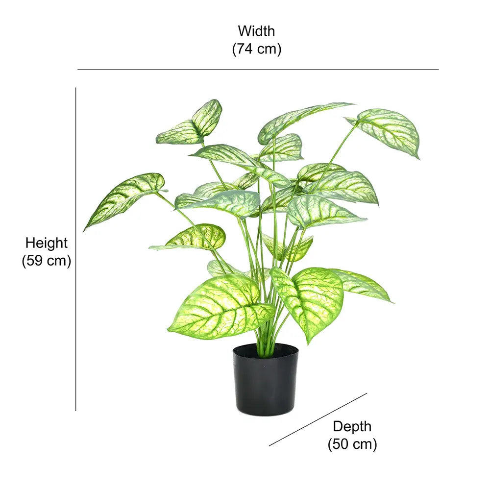 Artificial Caladium Leaf Plants for with Pot (18 Leaves, 65 cm Tall. Green/Red)