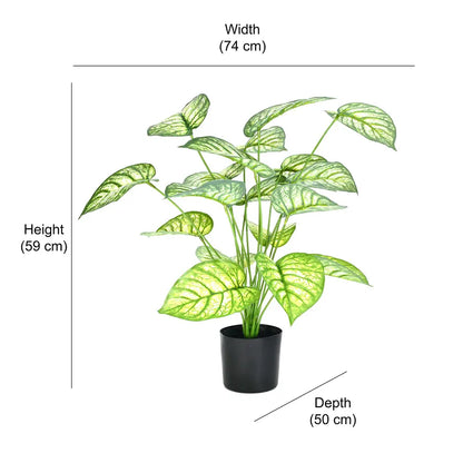 Artificial Caladium Leaf Plants for with Pot (18 Leaves, 65 cm Tall. Green/Red)