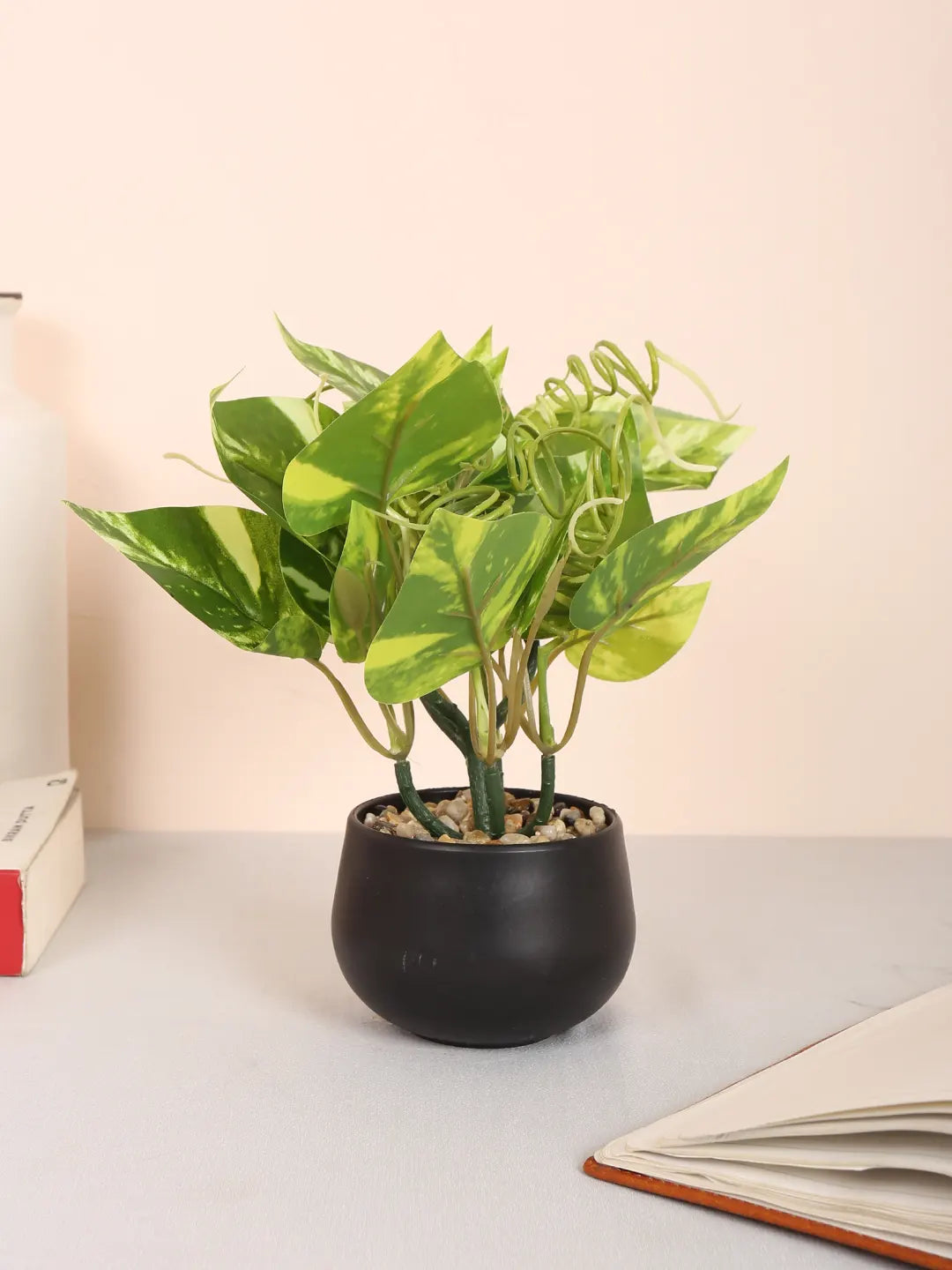 Artificial Beautiful Money Plants With Pot for (22 cm Tall, Green/Yellow)