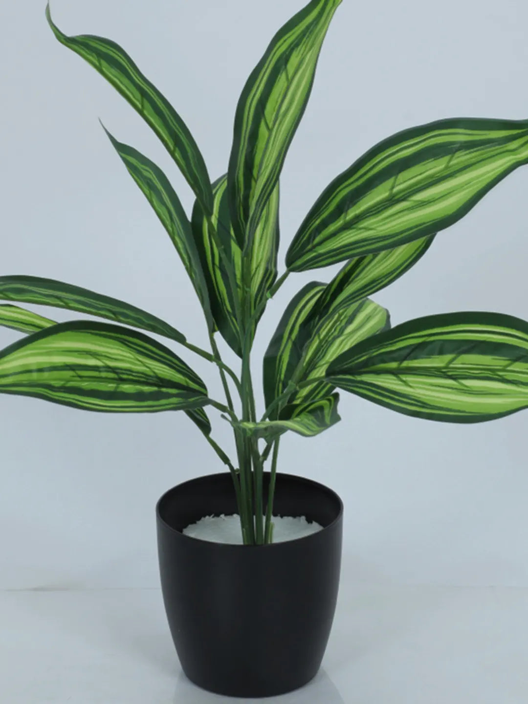 Artificial Green Dracaena Plant (12 Leaves with Basic Black Pot 45 Cm Tall)